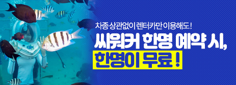 7~8월 렌터카 이용시! 씨워커 1+1